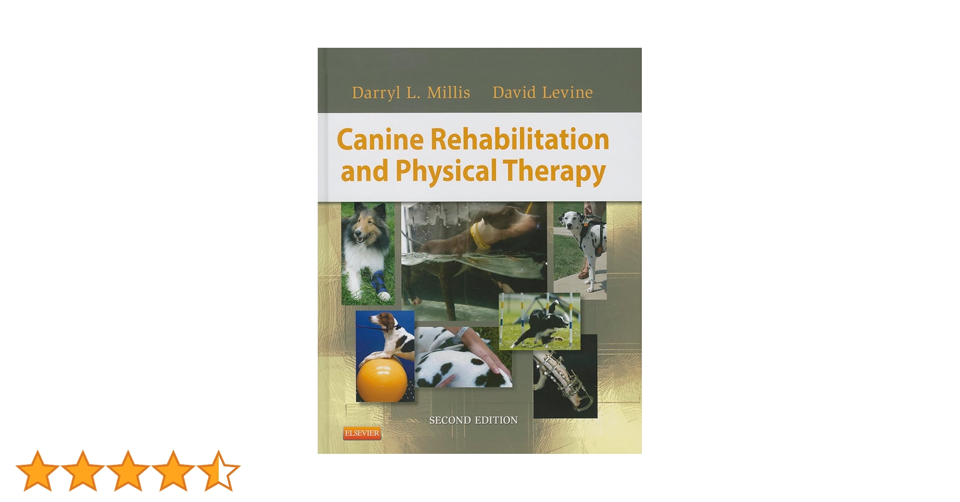 Canine rehabilitation 犬のリハビリテーション　希少本 犬と猫のリハビリテーション学:疾患別の施術と飼い主指導 | 宮田